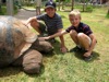 Boys with Galapagos tortoise