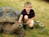 Ethan with Galapagos tortoise
